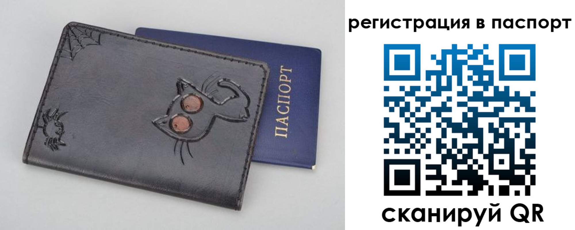 прописка законно в Бакале